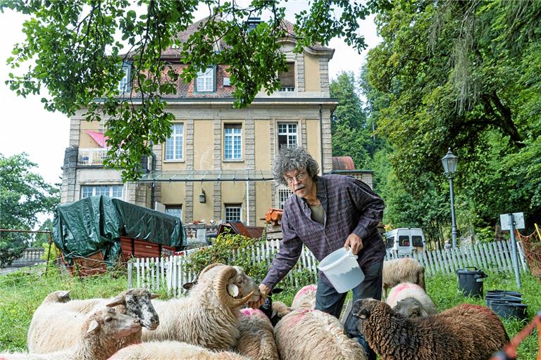 Patrick Siben bei seinen Waldschafen vor der Villa Franck. Eine Rasse, die sehr gut mit schwierigen Bedingungen wie steilem Gelände und rauerer Witterung zurechtkommt, wie er betont. Foto: J. Fiedler