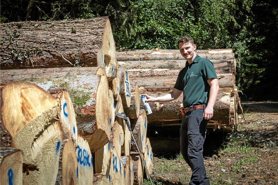 Paul Häberlein kennzeichnet die Holzernte. Er freut sich, dass er helfen kann, den wertvollen Rohstoff, in dem Kohlenstoff gebunden ist, für den Innenausbau oder zur Herstellung von Möbeln zur Verfügung zu stellen. Fotos: Alexander Becher