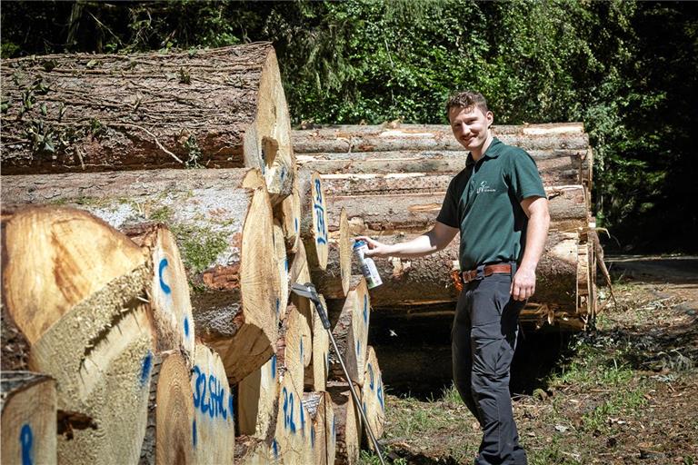 Paul Häberlein kennzeichnet die Holzernte. Er freut sich, dass er helfen kann, den wertvollen Rohstoff, in dem Kohlenstoff gebunden ist, für den Innenausbau oder zur Herstellung von Möbeln zur Verfügung zu stellen. Fotos: Alexander Becher