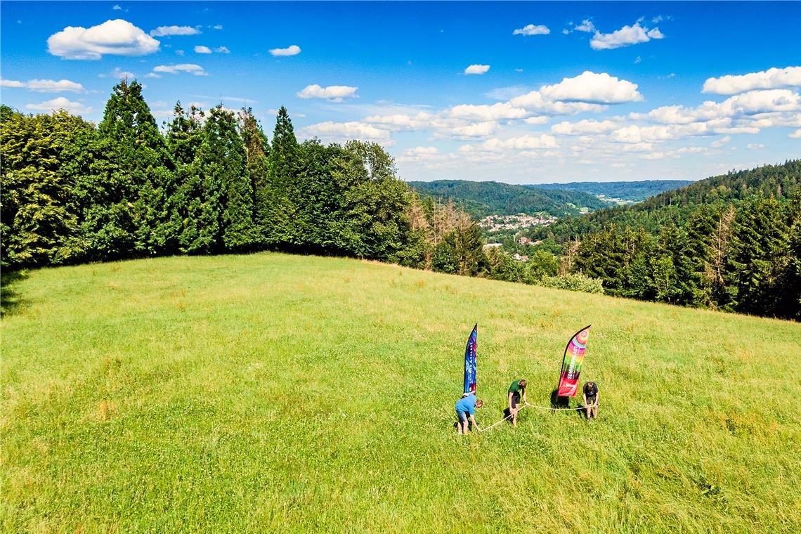 Paul Kamrad, Niki Eilers und Moritz Wahl (von links) vom Sommerpalast-Team nehmen Maß. Die Wiese mit den Wellingtonien bei Waltersberg ist einer der Bergfestival-Veranstaltungsorte. Fotos: privat