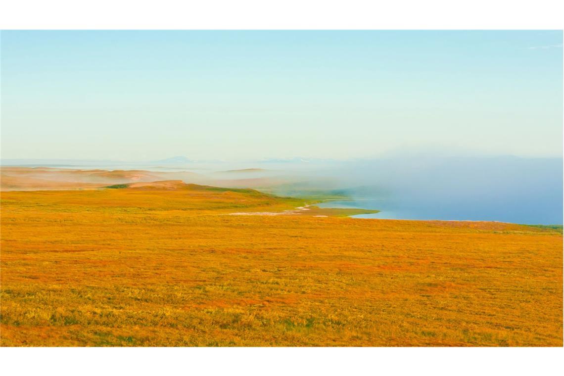 Permafrost in der sibirischen Tundra.