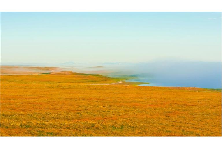 Permafrost in der sibirischen Tundra.