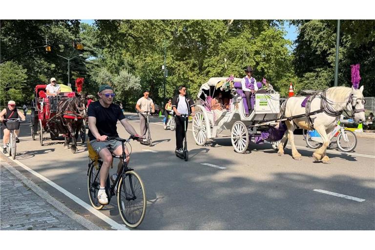 Pferdekutschen im Central Park droht das Aus