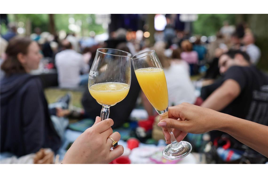 Picknick im Bayreuther Festspielpark beim Open Air. (Archivbild)