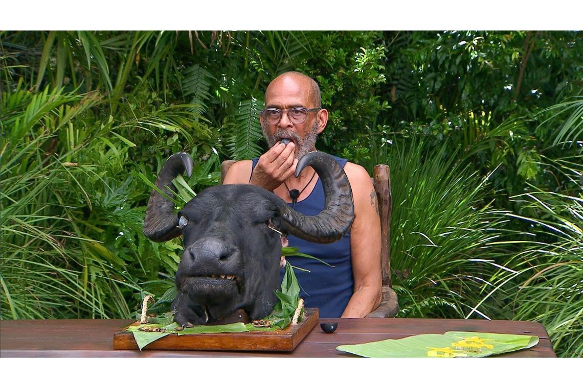 Wer hat die Dschungelkrone gewonnen? Pierre muss ein Stierauge essen.