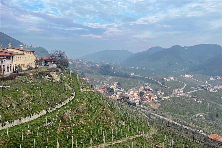 Pieve di Soligo liegt mitten in einem großen Weinbaugebiet. Foto: Stadtverwaltung Murrhardt