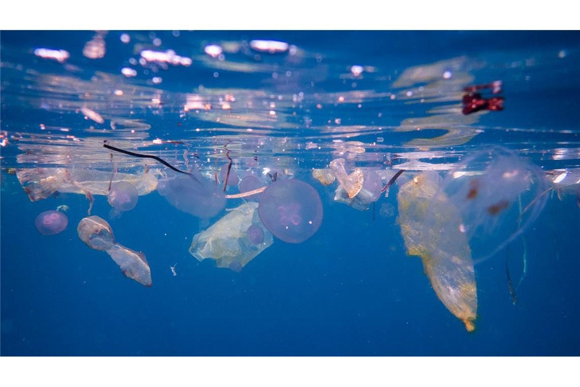 Plastikmüll schwimmt neben Quallen am Tauchplatz Blue Magic in Raja Ampat in Indonesien.