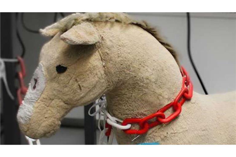 Plüschtier an der B10: Die Polizei sammelte dieses Plüschtier ein, das für ein herrenloser Hund gehalten wurde.