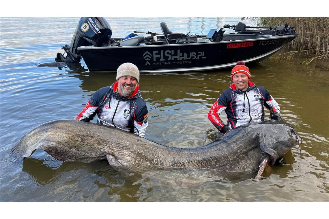 Polnische Angler ziehen Rekord-Wels aus einem Stausee.