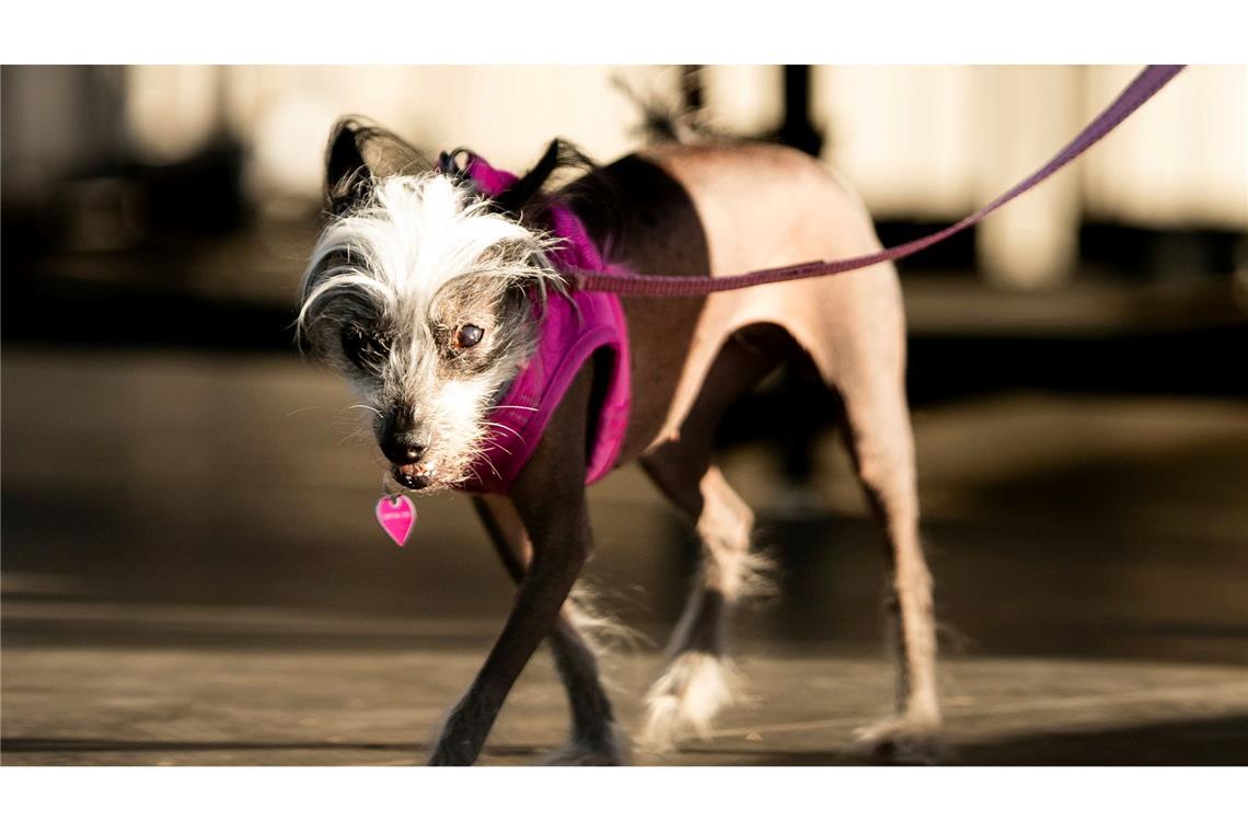 Poppy hatte statt Kuschelfell viel nackte Haut zu bieten.