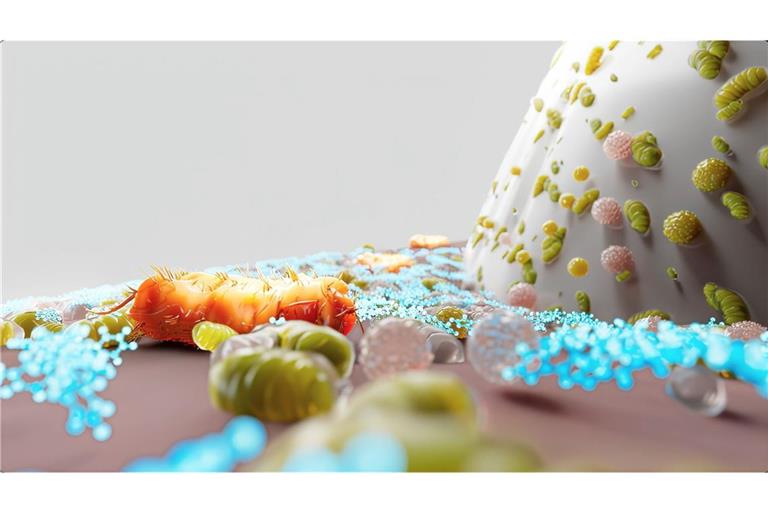 Porphyromonas gingivalis (orange), der Inhaltsstoff (blau) und gesundes Mikrobiom am Übergang von Zahnfleisch zu Zahn.