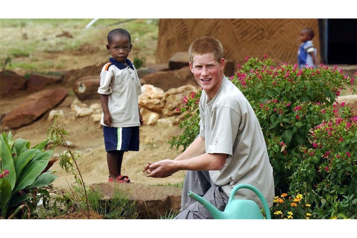 Prinz Harry (l) und der vier Jahre alt Waise Mutsu Potsane pflanzen am 03.03.2004 auf dem Gelände des Mants'ase Kinderheims in Mohale Hoek bei Maseru im Königreich Lesotho einen Pfirsichbaum. Prinz Harry hat mit einem Fernsehteam einen Film über Aids-Waisen in Afrika gedreht. Einen Teil der Bilder habe Harry selbst mit seiner Videokamera aufgenommen, teilte das Büro seines Vaters in London mit. Der Prinz hatte in diesem Jahr acht Wochen in dem südafrikanischen Land Lesotho verbracht, wo etwa 40 Prozent der Bevölkerung mit HIV infiziert sind.