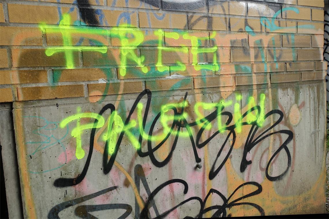 Judenhass ist nie zu rechtfertigen Protestparole: Wo beginnt der Rassismus?