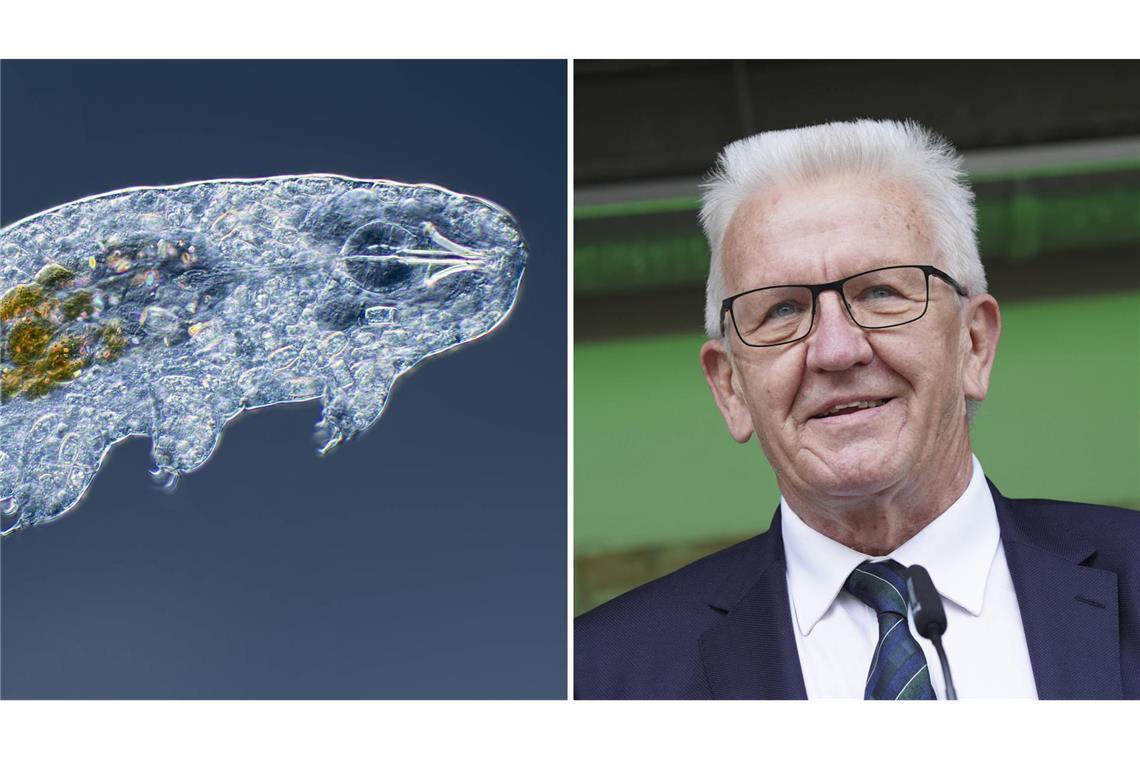 Neu entdeckte Tierart aus dem Schwarzwald nach Kretschmann benannt „Ramazzottius kretschmanni“ heißt ein nach Winfried Kretschmann benanntes Bärtierchen. (Symbolbild/Archivbild)