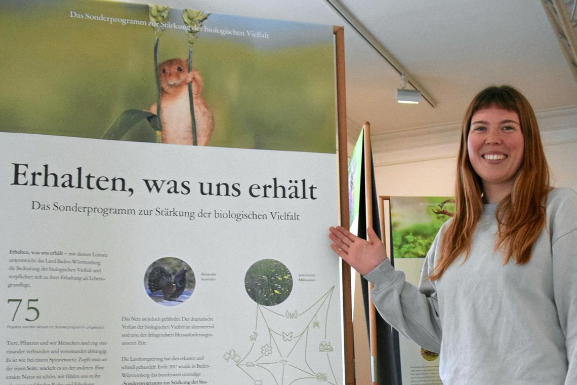 Raphaela Prodöhl ist im Februar als neue Mitarbeiterin zum Naturparkteam gestoßen. In Zusammenarbeit mit dem Landesministerium für Ländlichen Raum konnte sie die Ausstellung ins Naturparkzentrum holen. Foto: Elisabeth Klaper