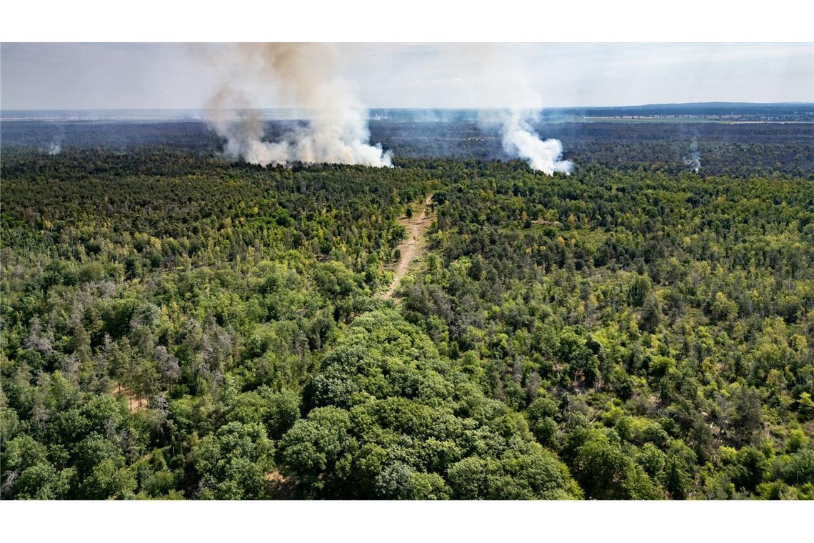 Waldbrände in Sachsen und Thüringen - Großeinsätze dauern an Rauch steigt in der Gohrischheide in den Himmel.