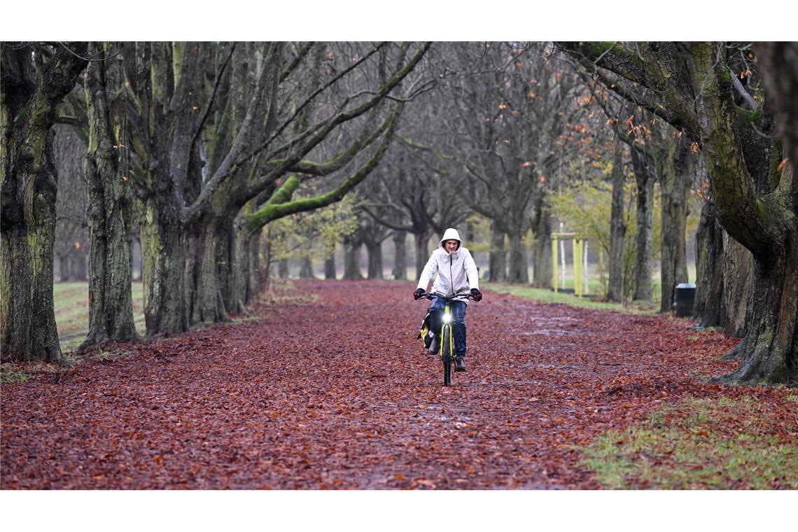 Erst stürmisch, dann kalt Regen hier, Graupel dort - und auch Schnee könnte es in den kommenden Tagen geben.