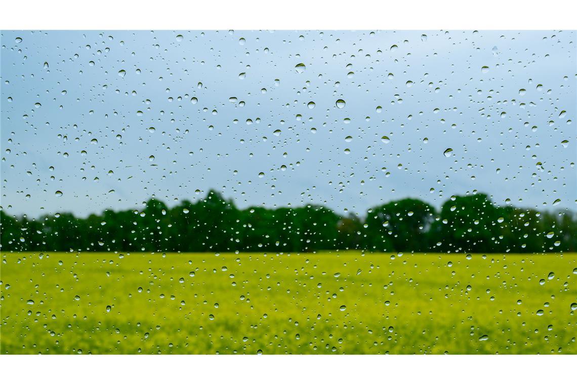 Regen wird es auch in den kommenden Tagen geben.