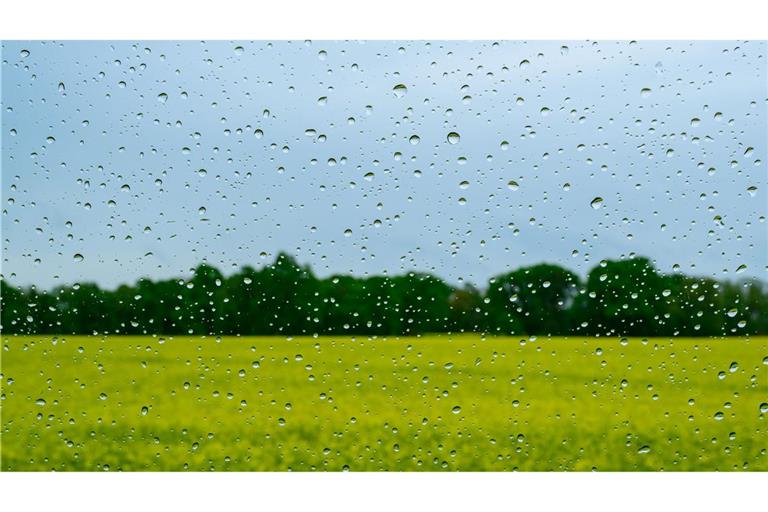Regen wird es auch in den kommenden Tagen geben.