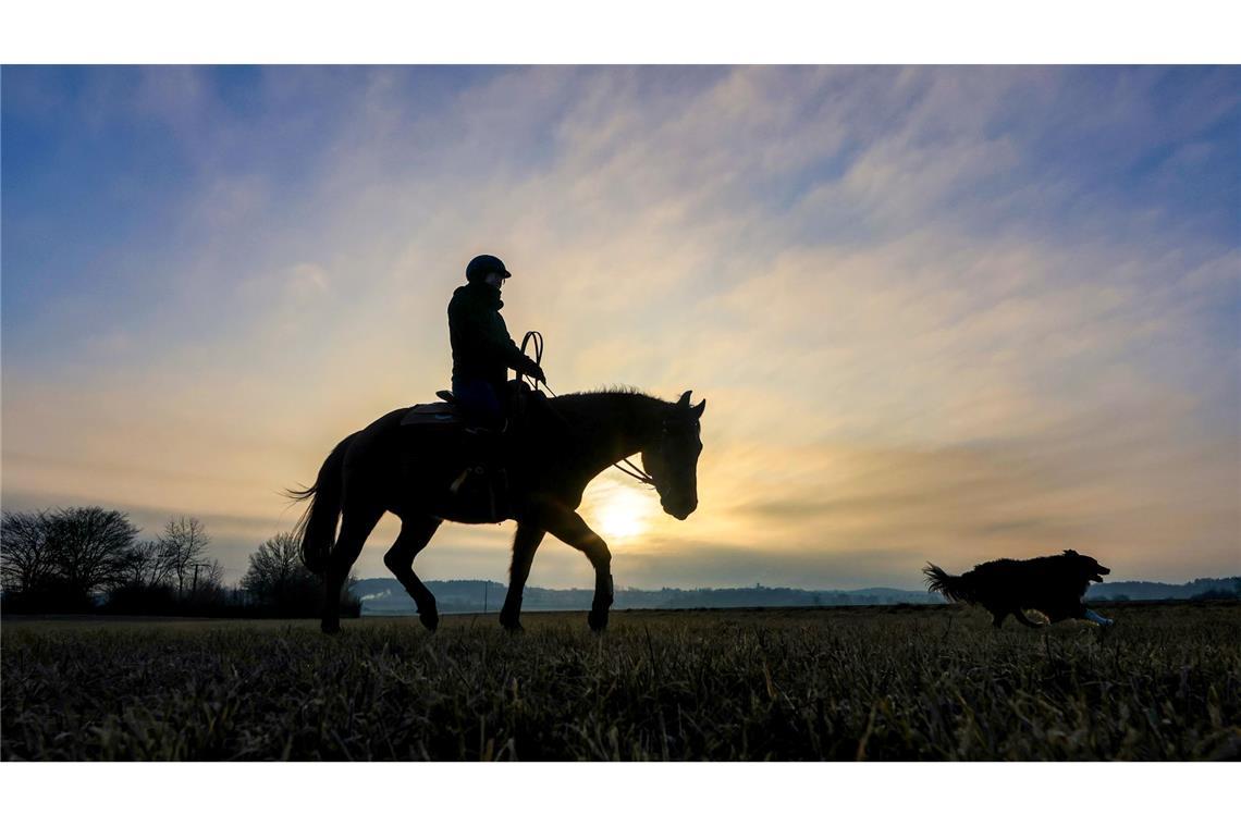 Bilder des Tages Reiten bei Sonnenaufgang.