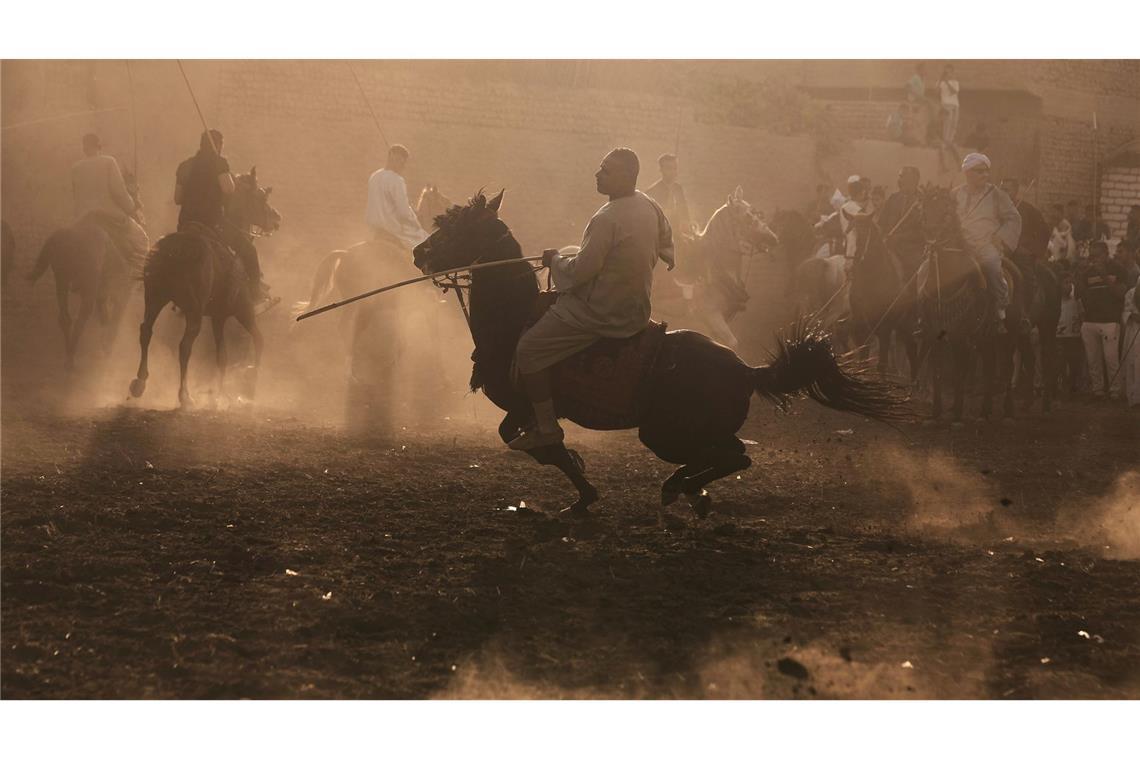 Bilder des Tages Reiter verschiedener Stämme treten während der traditionellen Pferdesportveranstaltung "Al-Mermah" in Ägypten gegeneinander an.