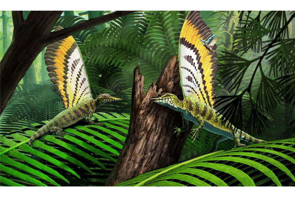 Wie ein fossiler „Wundersaurier“ das Verständnis der Reptilien-Evolution verändert