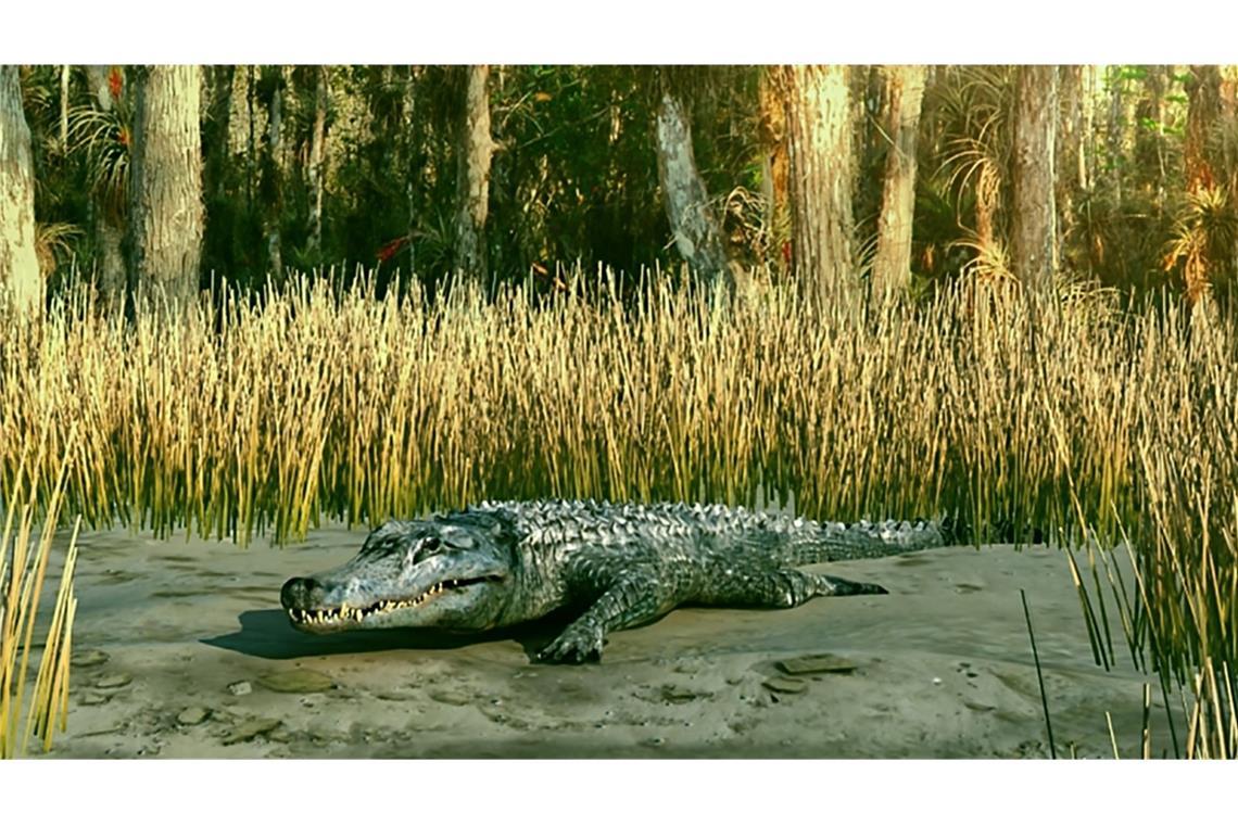 Forscher entdecken jüngstes Urzeit-Krokodil Europas Rekonstruktion von Diplocynodon an der Küste von Hernals (heute Wien) vor 12,2 Millionen Jahre.