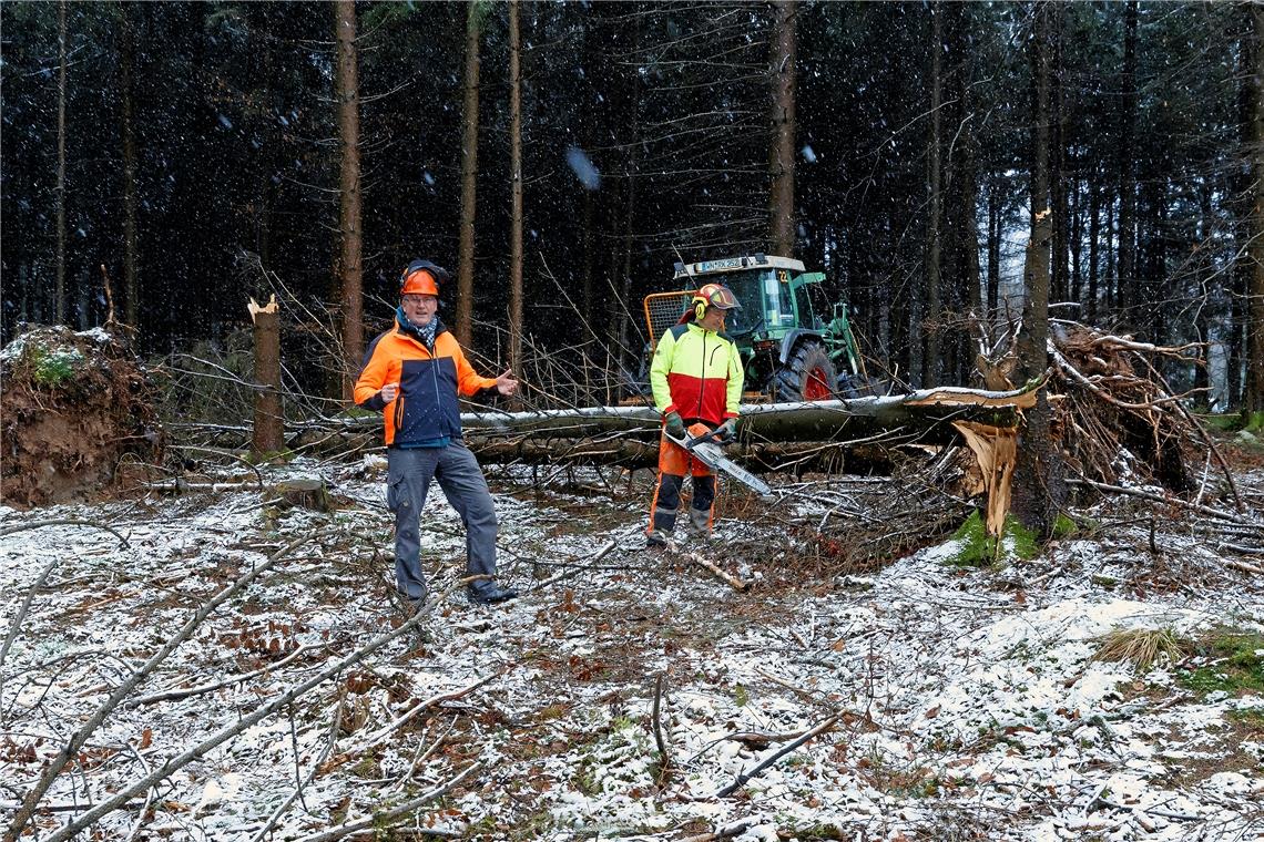 Den Käfer und die eigene Sicherheit im Blick Revierförster Andreas Schlär mit Ralf Kobstädt (von links) in einem Waldstück bei Murrhardt, in dem eine Reihe von Fichten den Frühjahrsstürmen Ylenia, Zeynep und Antonia nicht standgehalten haben. Bei der Aufarbeitung des Holzes gilt es Vorkehrungen zu treffen und einiges zu beachten. Fotos: J. Fiedler