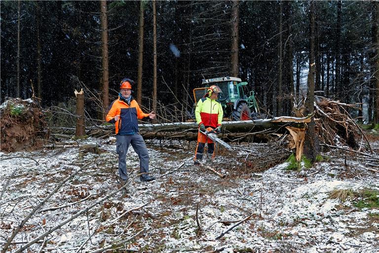 Revierförster Andreas Schlär mit Ralf Kobstädt (von links) in einem Waldstück bei Murrhardt, in dem eine Reihe von Fichten den Frühjahrsstürmen Ylenia, Zeynep und Antonia nicht standgehalten haben. Bei der Aufarbeitung des Holzes gilt es Vorkehrungen zu treffen und einiges zu beachten. Fotos: J. Fiedler