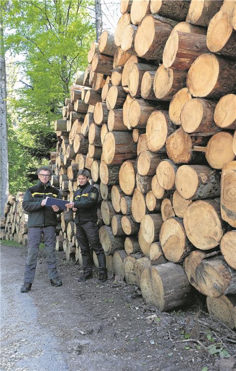 Die Lage im Wald ist dramatisch Revierförster Dieter Seitz und Tobias Horwath vom Kreisforstamt (von links) ziehen eine ernüchternde Bilanz. Forstleute und Privatwaldbesitzer kommen mit dem Einschlag kaum hinterher.