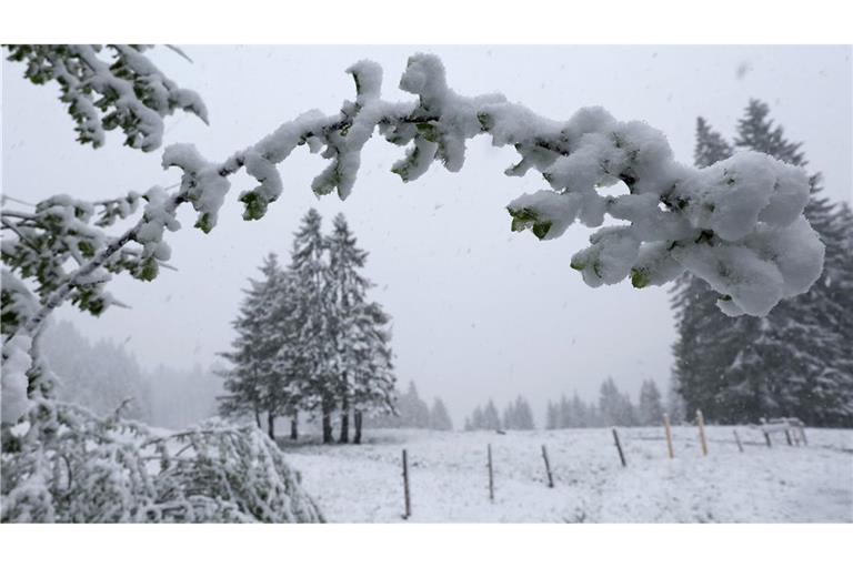 Riedbergpass: Schnee in Bayerns Höhenlagen – winterliche Szenerie auf etwa 1200 Metern Höhe