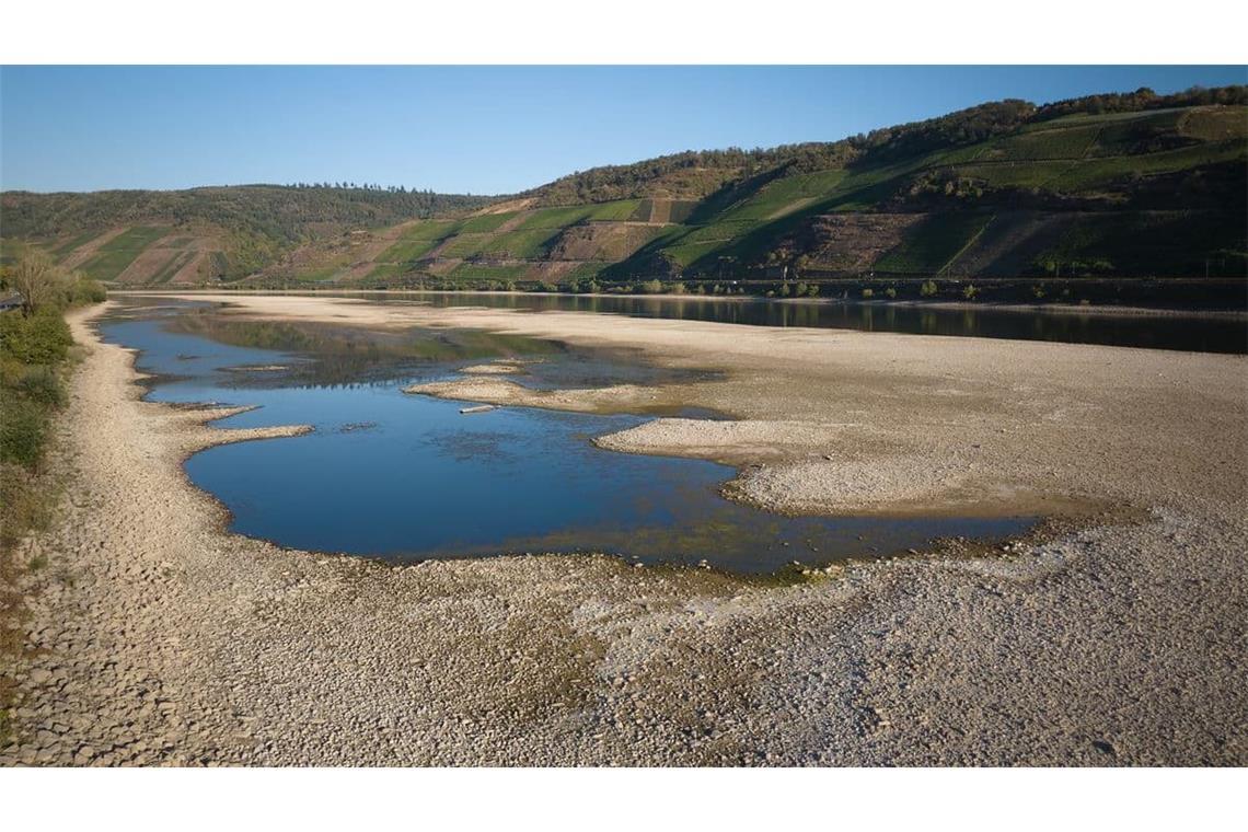 Riesige Sandbänke sind im August 2026 im Rhein bei Osterspai in Rheinland-Pfalz entstanden. Trockenheit und Hitze ließen die Pegelstände fallen. 