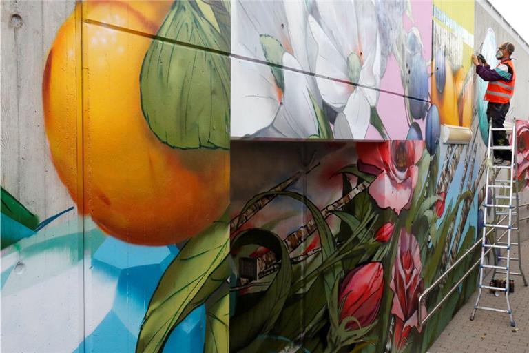 Riesige Wandmalereien, sogenannte Murals, sprüht der Graffitikünstler Jeroo, mit bürgerlichem Namen Christoph Ganter, in Fornsbach an die grauen Betonwände der Bahnsteigunterführung. Foto: Klaus Rieder