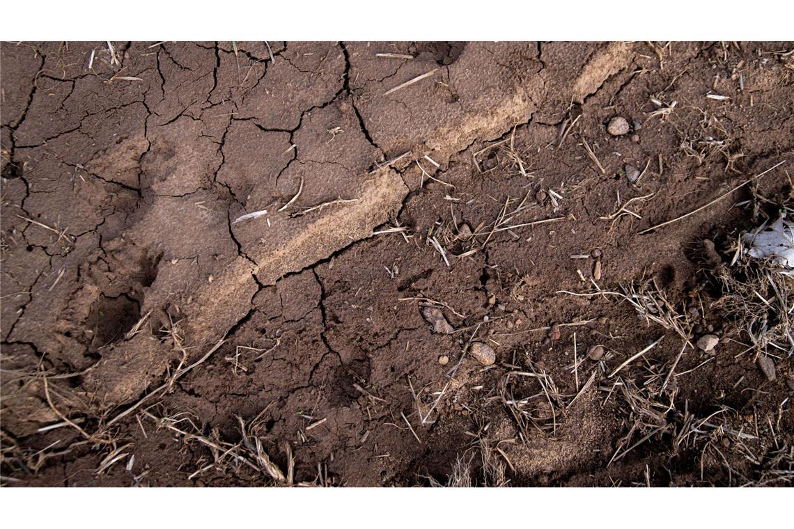Trockenperiode in Deutschland - was sind die Folgen? Risse durchziehen den Boden eines Ackers. Trockenheit macht Landwirten, Obst- und Weinbauern in Teilen Bayerns in diesem Jahr bereits früh zu schaffen. (Archivbild)