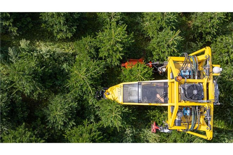 Robert Kleinstäuber vom Weihnachtsbaumhandel „een Baum aus Sachsen“ fährt mit seinem Baumschultraktor „Arbor-Rex“ durch eine Plantage mit Nordmanntannen um das Unkraut zwischen den Bäumen zu beseitigen.