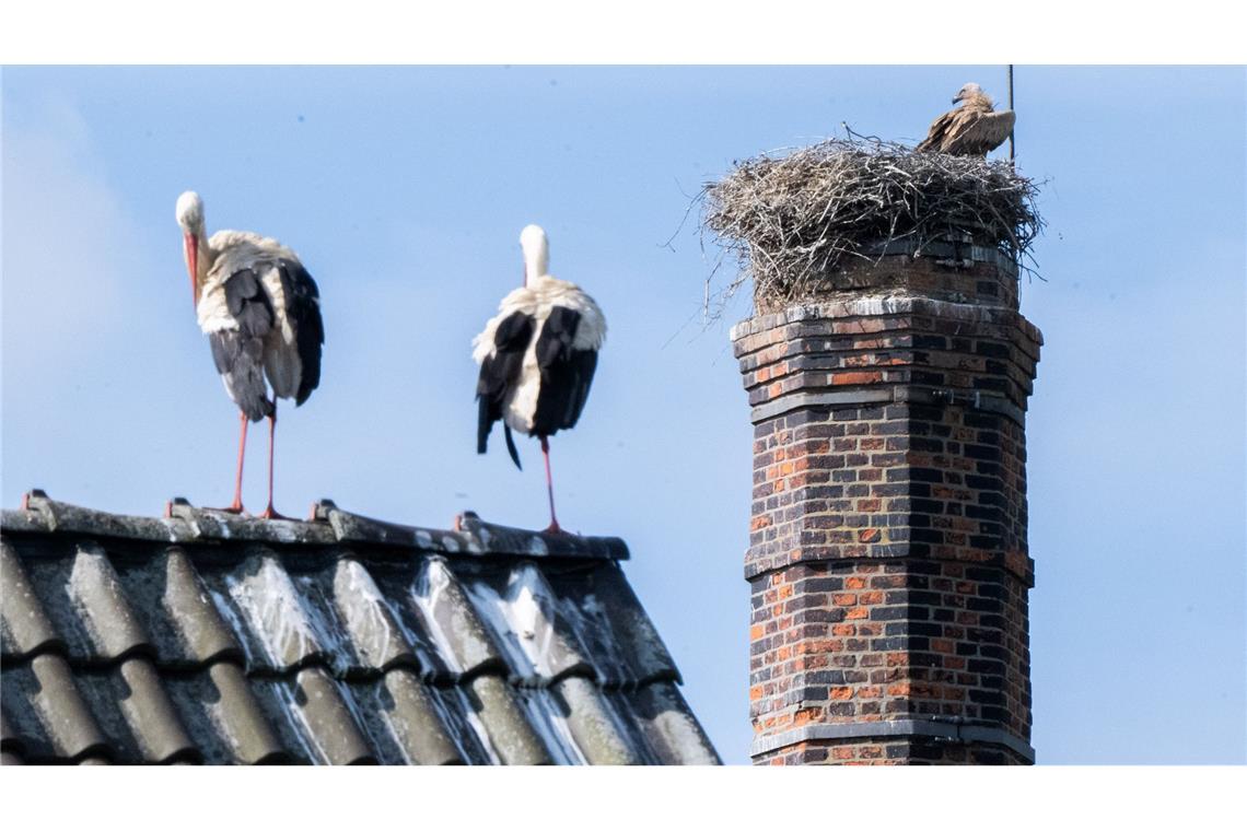 Bilder des Tages