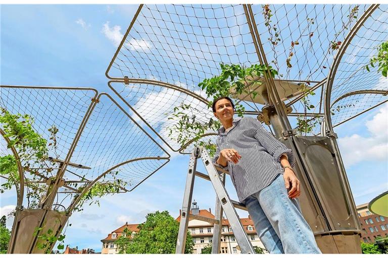 Rosa Pöttinger ist zurzeit mindestens jeden zweiten Tag bei den Ecotriis am Marienplatz in Stuttgart und schaut nach den Pflanzen. Sie müssten jetzt gut anwachsen, das sollte in den nächsten ein, zwei Wochen passieren.