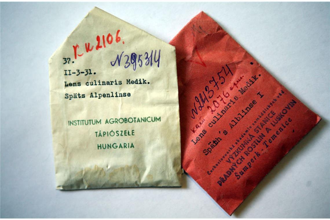 Rückkehr einer Totgeglaubten: In diesen beiden unscheinbaren Tütchen befindet sich Saatgut der Alblinse. 2006 brachte der Saatgut-Sammler Klaus Lange 350 Samen von „Späth’s Alblinse I“ aus dem Wawilow-Institut in St. Petersburg nach Baden-Württemberg. Es war der Beginn der Renaissance des Linsen-Anbaus auf der Schwäbischen Alb.
