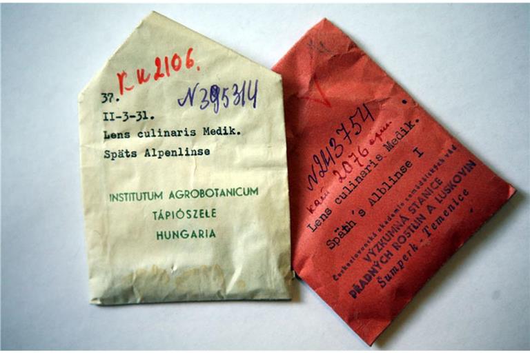 Rückkehr einer Totgeglaubten: In diesen beiden unscheinbaren Tütchen befindet sich Saatgut der Alblinse. 2006 brachte der Saatgut-Sammler Klaus Lange 350 Samen von „Späth’s Alblinse I“ aus dem Wawilow-Institut in St. Petersburg nach Baden-Württemberg. Es war der Beginn der Renaissance des Linsen-Anbaus auf der Schwäbischen Alb.