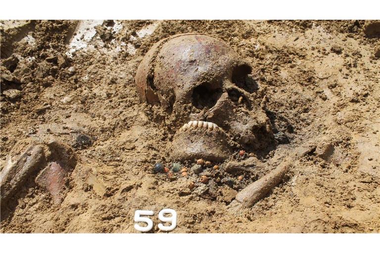 Rund 1400 Jahre alter Schädel einer Frau während der Freilegung ihres Grabes im heutigen Ergoldsbach. Aus einem winzigen Knochenstück des Schädels haben Paläogenetiker der JGU das komplette Erbgut der Verstorbenen rekonstruiert.