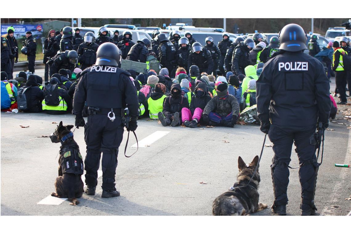 Umstrittener Hundeeinsatz in Riesa hat ein Nachspiel für die Polizei Rund 15.000 Menschen demonstrierten am Wochenende in Riesa gegen den AfD-Parteitag.