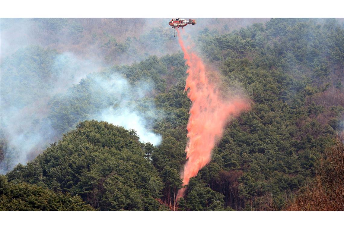 Brände in Ostasien - mindestens 24 Tote in Südkorea Rund 5000 Einsatzkräfte und mehr als 140 Hubschrauber kämpfen gegen die Flammen.