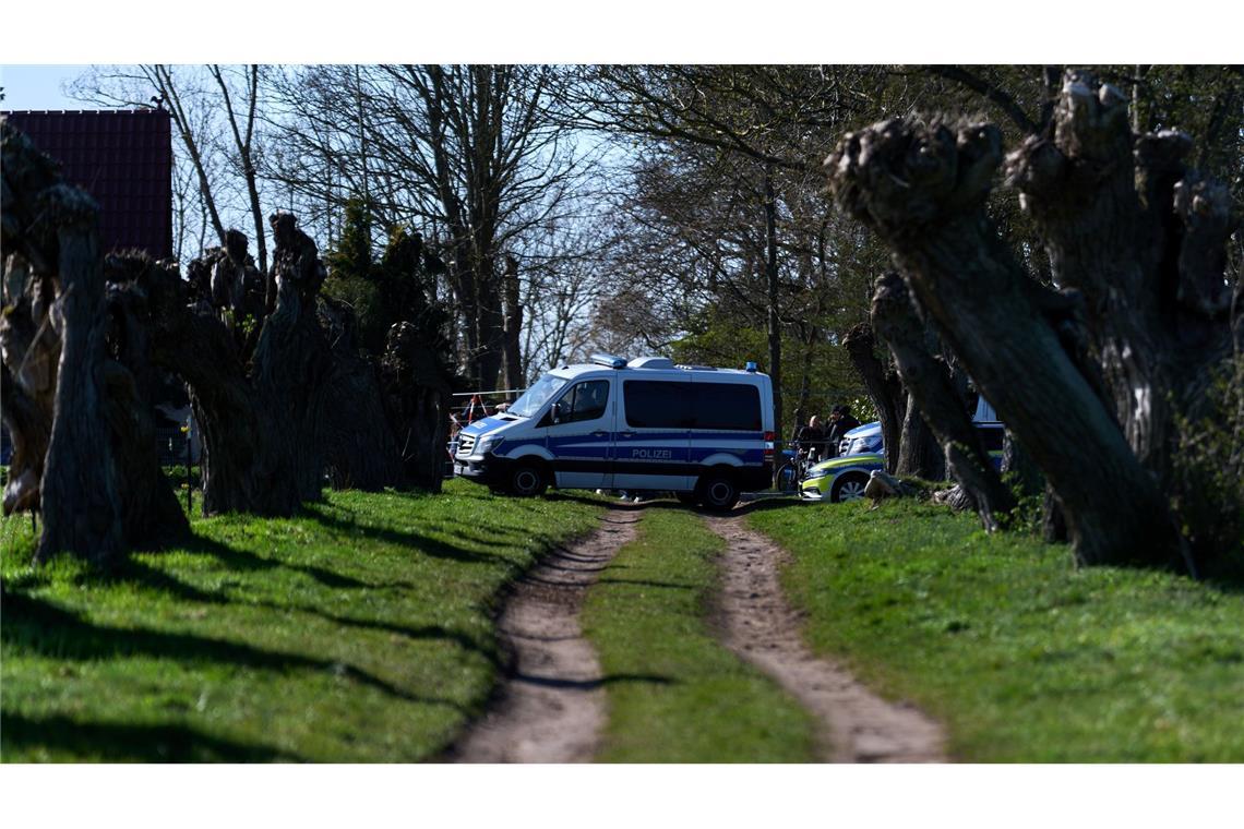 Verletzter Buckelwal – Gutachten am Dienstag erwartet