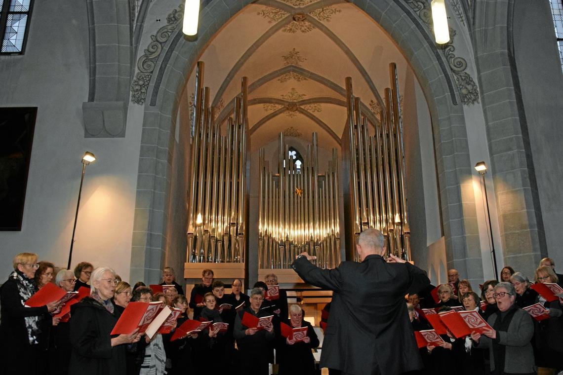 Sängerinnen und Sänger haben unter der Leitung von Kantor Gottfried Mayer die ganze Vielschichtigkeit der Messe in D-Dur von Antonín Dvořák vermittelt und zu einem Erlebnis gemacht. Foto: Elisabeth Klaper