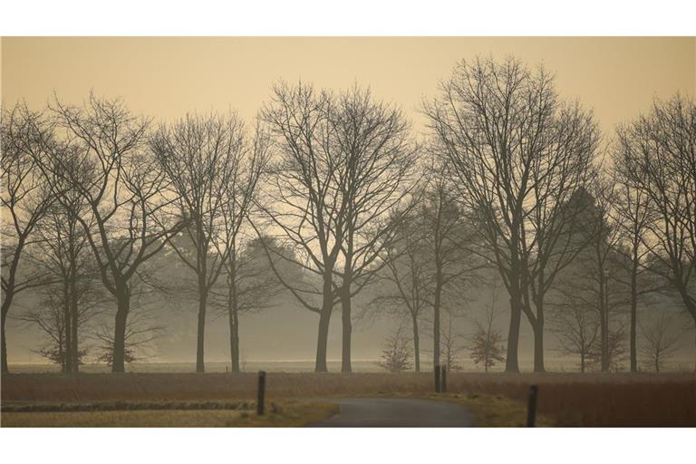 Saharastaub am Morgenhimmel.