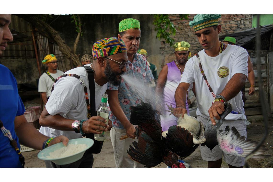 Santeria-Priester führen ein Reinigungsritual mit Hähnen durch.