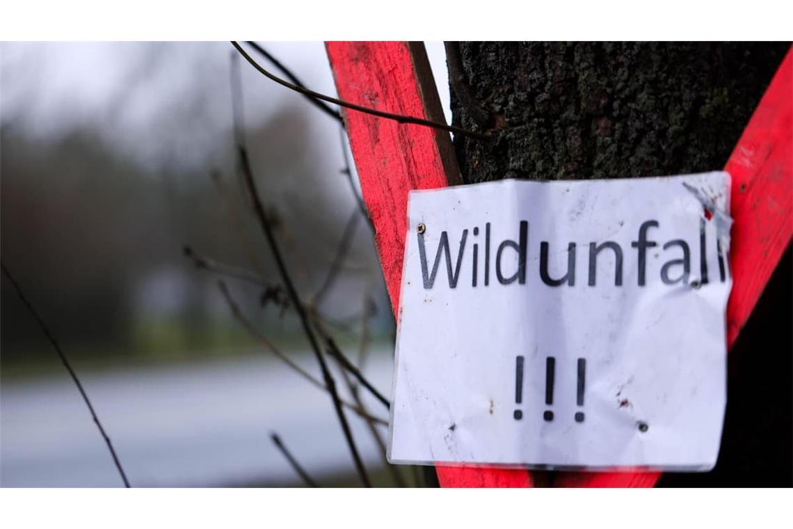 Schild: Wildunfall. Im Hintergrund ist die Bundestraße B 252 in Hessen zu sehen.