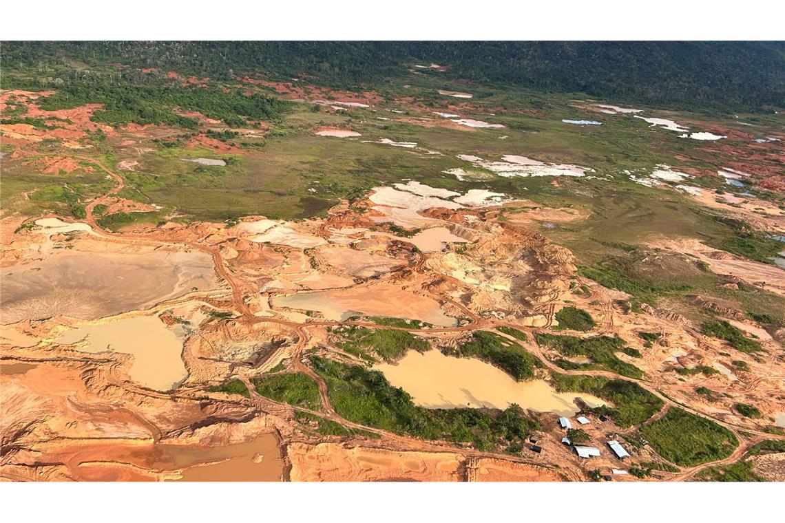 Was der Gold-Boom im Amazonas anrichtet Schlammige Gruben und rostbraune Wasserlöcher durchziehen den Regenwald.