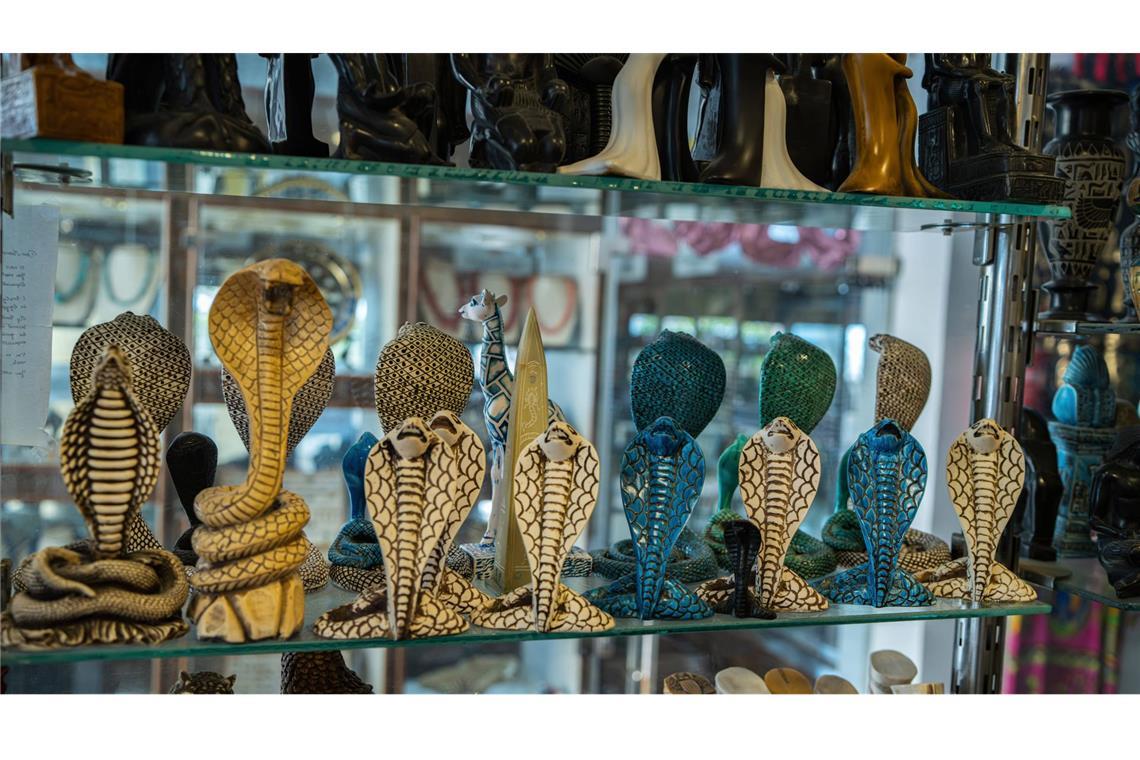 Schlangenbiss in Hotel in Ägypten: Karte zeigt gefährliche Gebiete