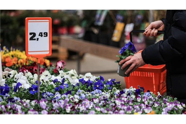 Schlechtes Wetter im Mai und Juni verhagelte den Händlern 2024 das Geschäft.